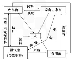 据图判断.下列叙述符合生态学原理的是 a.物质经过多级利用.提高了能量传递效率b.由于各级产物都可以利用.减少了废物和污染c.每一级生产环节都获得产品.提高了生态经济效益